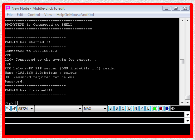 Fig.46. CYGWIN ftp SHELL-TERMINAL launcher and then PLUGIN launcher are executed after user has pressed OK button in the parameter input dialog. Login sequence is completed.