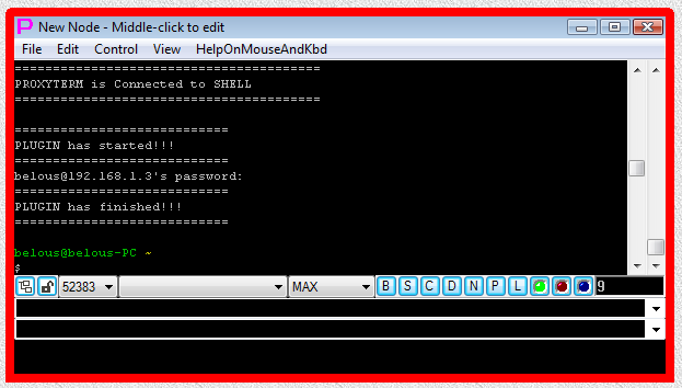 Fig.11. CYGWIN ssh SHELL-TERMINAL launcher and then PLUGIN launcher are executed after user has pressed OK button in the parameter input dialog. Login sequence is completed.