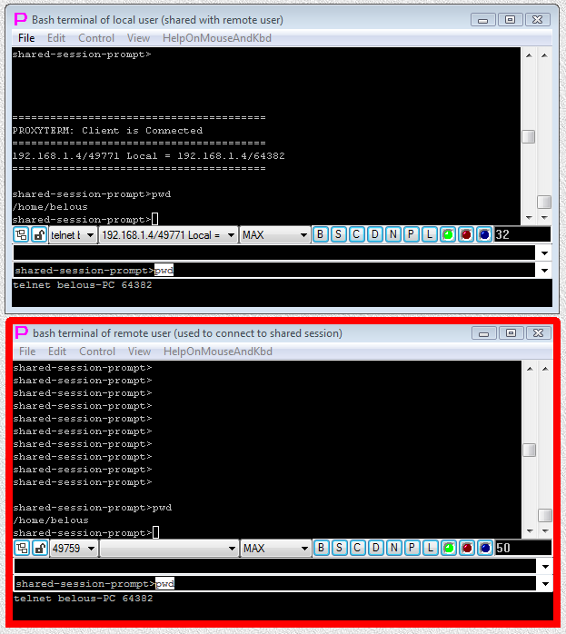 Fig.6. Owner of the shared session or remote user connected to the shared session has typed "pwd" command at the prompt of the shared session and received printout of command execution results into both terminals.