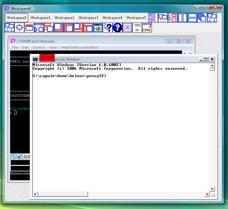 Fig.12. Active window of the external process (CMD console) is highlighted by red label with the word "ACTIVE" that is placed over the window's titlebar.