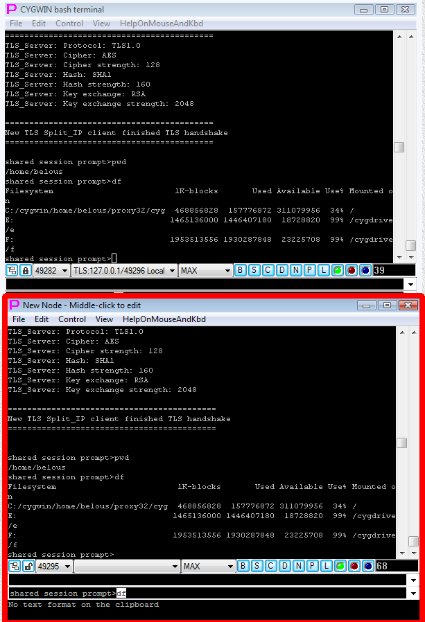Typing commands from new terminal window into to shared terminal session window via TLS-telnet connection
